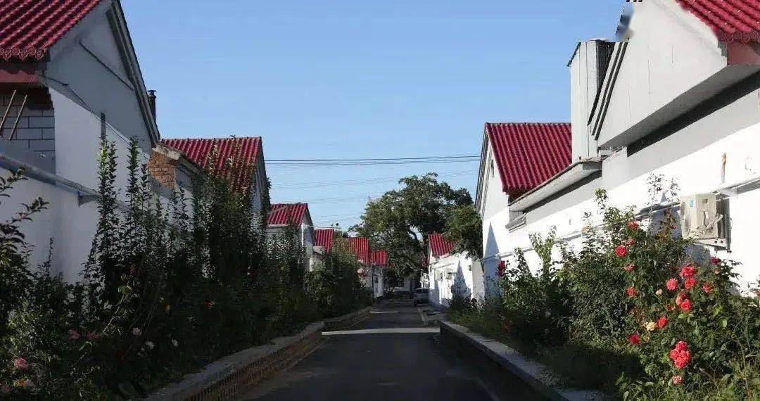 探秘走进大兴这3个全国文明村镇