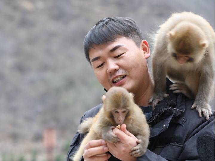 匡振京:太行山中的"猴爸爸"