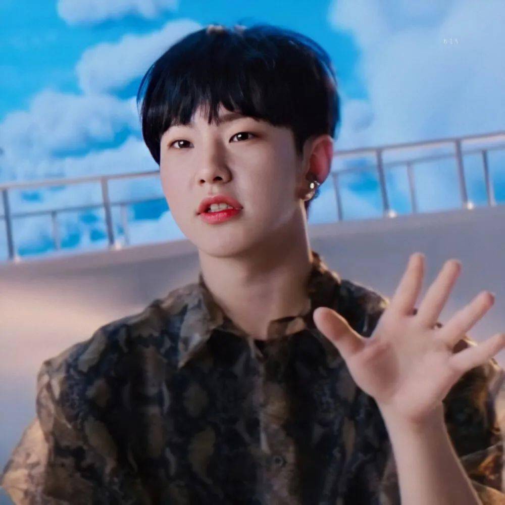 微信头像seventeen权顺荣