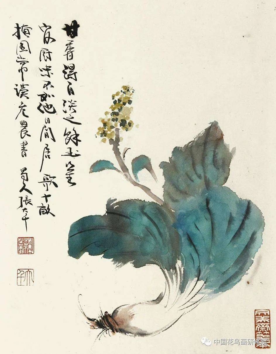 李苦禅先生笔下的白菜:王雪涛先生笔下的白菜:孙其峰先生笔下的白菜