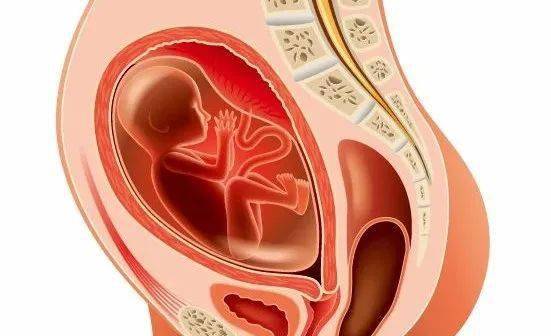 胎儿赖以生存的羊水为啥不叫胎水呢