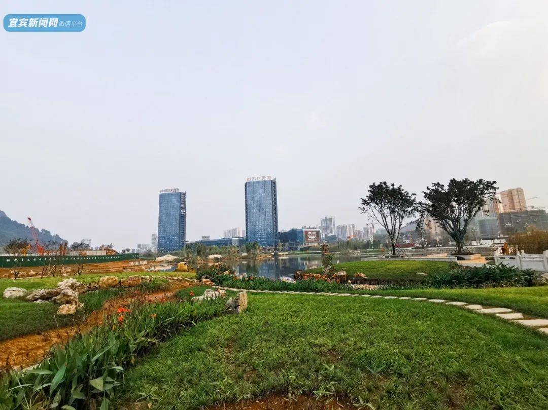 超美宜宾城区又一新公园开放约900个足球场大银杏道拱桥亲水栈道