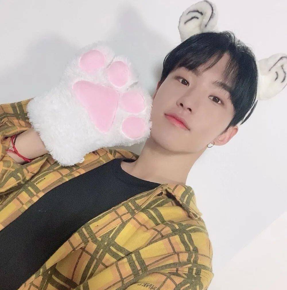 微信头像seventeen权顺荣