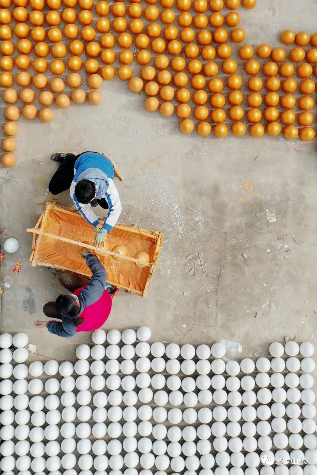 济南金蛋村有梦想有奇迹