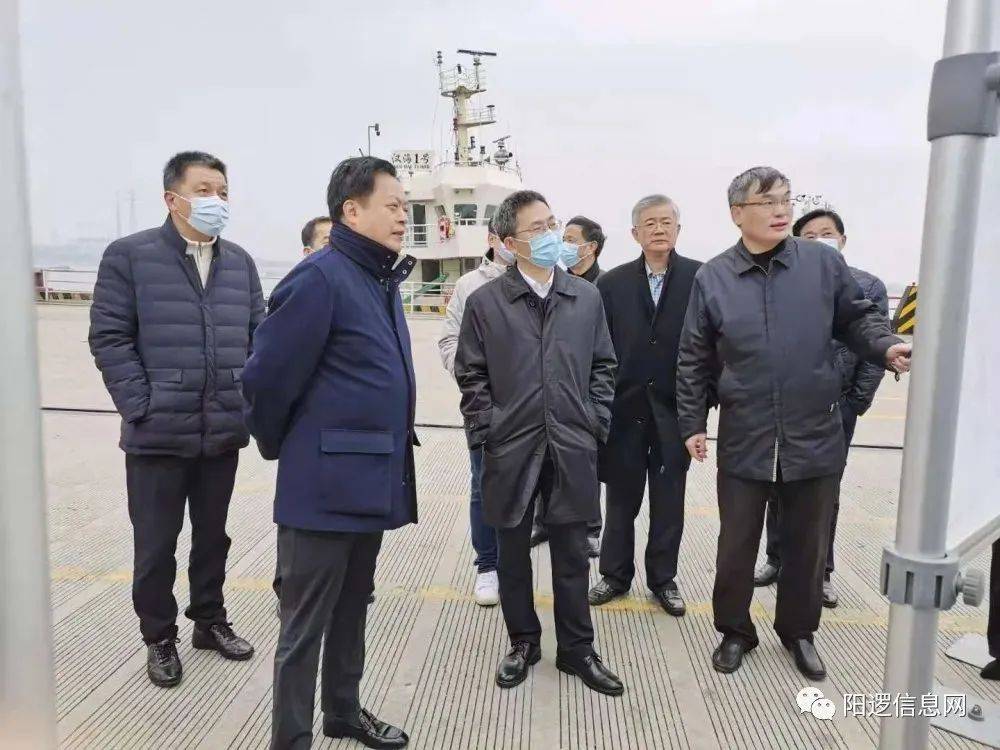 市委常委副市长江伟一行调研武汉阳逻港