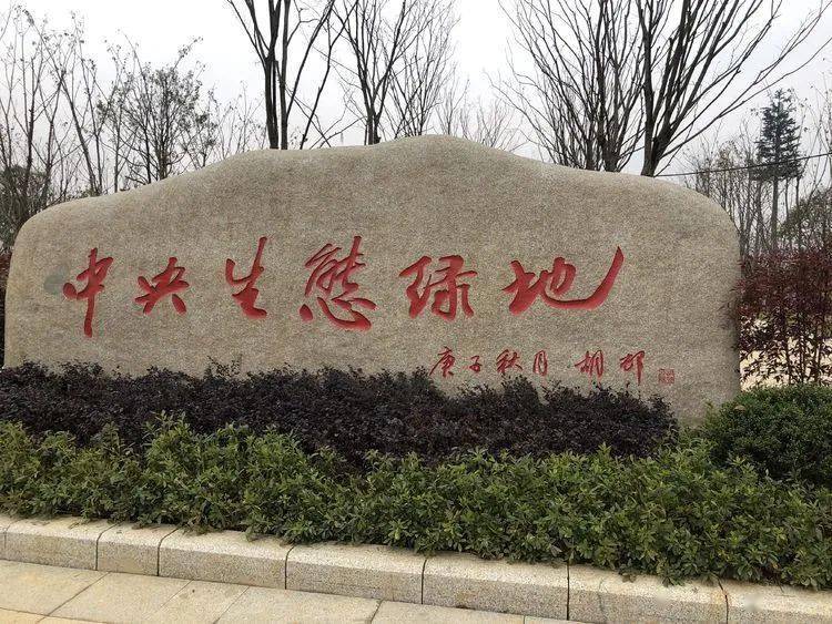 宣城市老体协骑游分会活动日骑行宣城市新建的中央公园