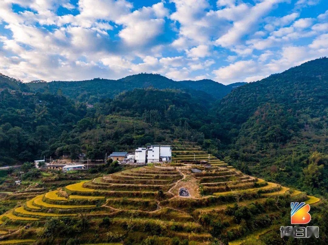 今日大雪,博白大塘梯田遇见唯美日出朝霞_顿谷镇