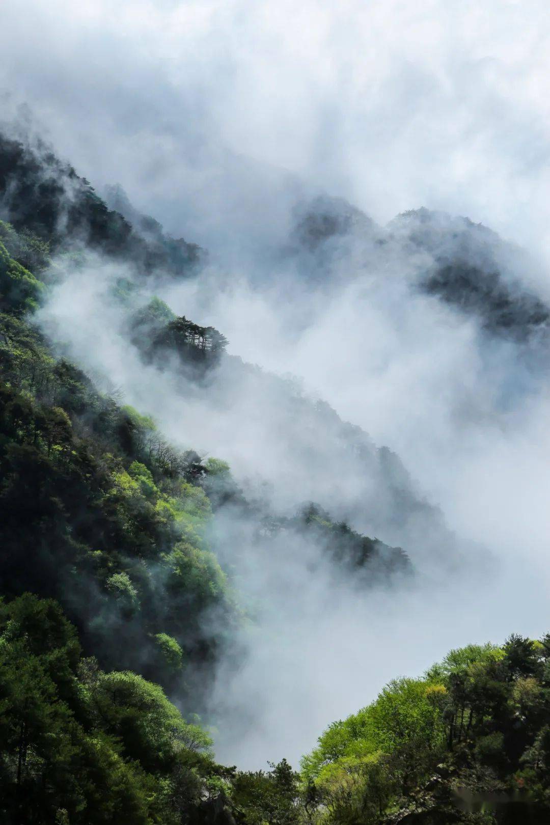 云海浮波翻涌 山水澹澹生烟