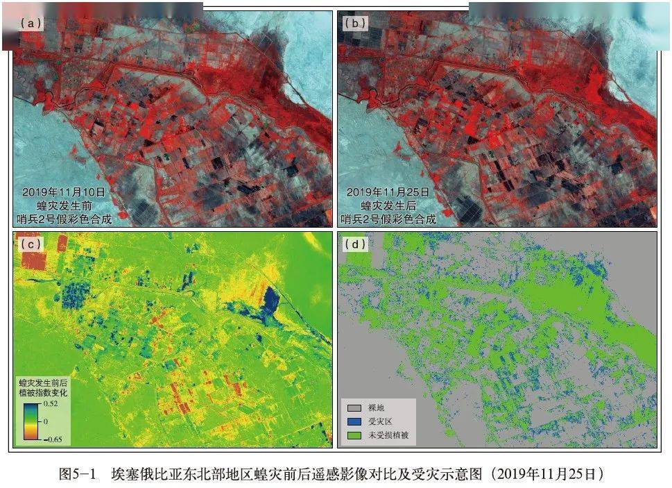 【研究】中国发布《全球生态环境遥感监测2020年度报告》