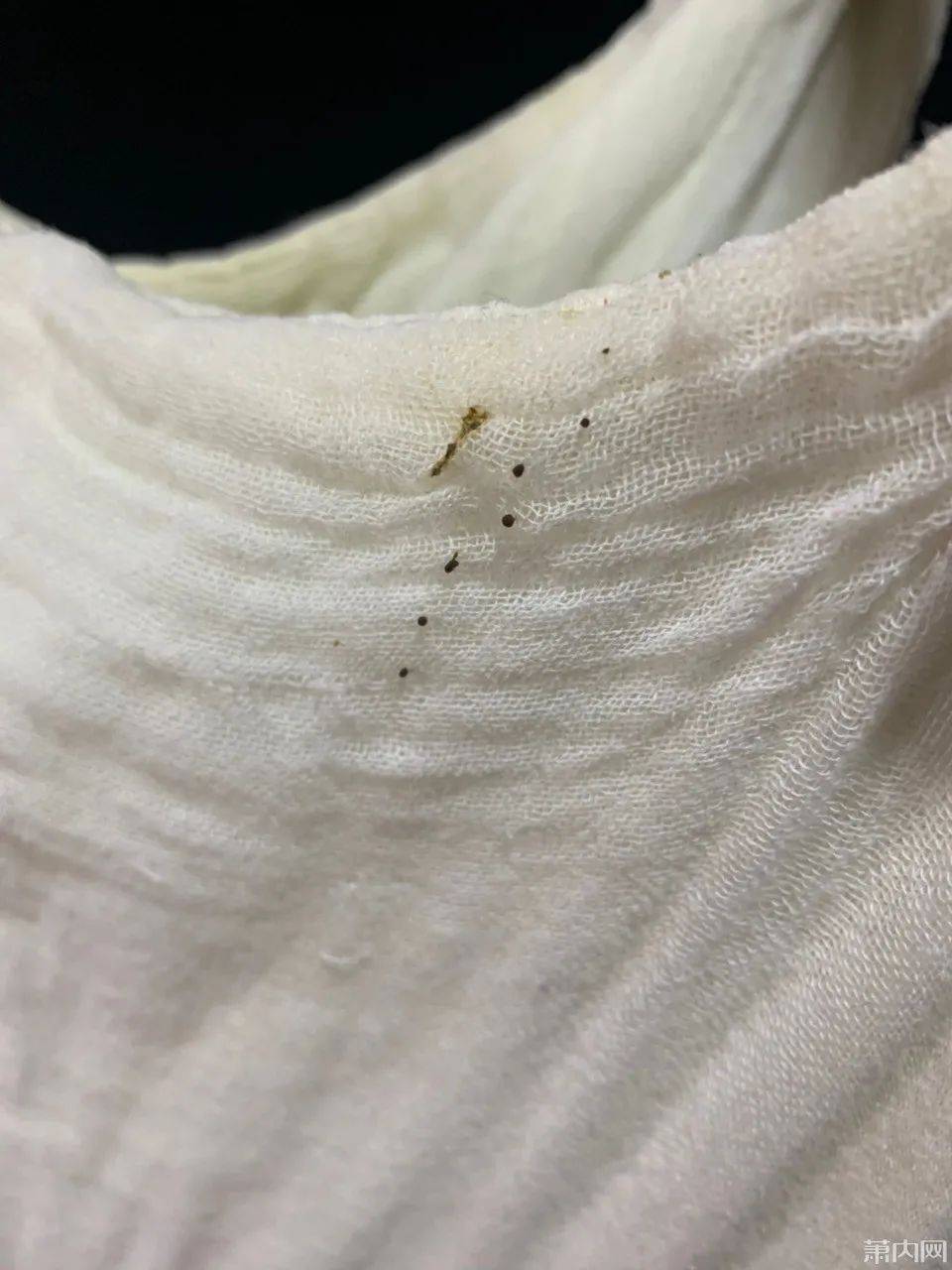 这是什么虫子的粪便?萧山网友每次晒衣服都中招!洗都洗不掉