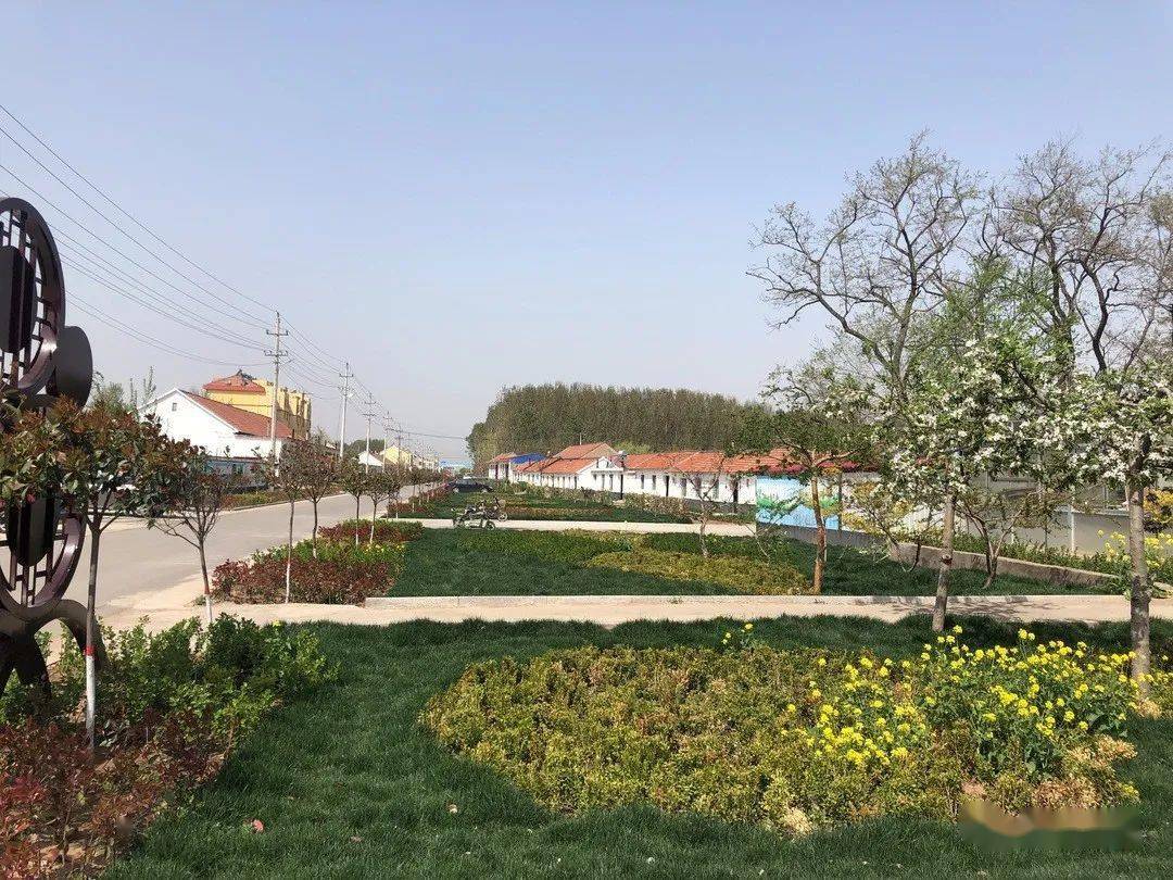 2020年镇街区新变化柏城镇篇