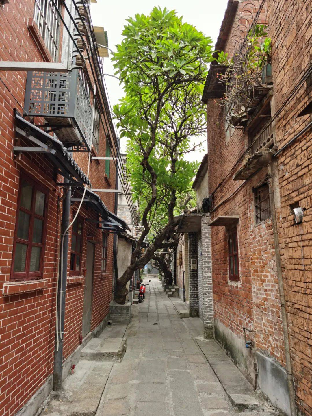 藏在老街里的记忆打卡禅城内街小巷寻觅最有底蕴的文艺气息