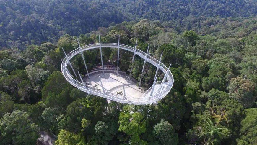 世界海拔最高森林吊桥the habitat penang hills canopy walk