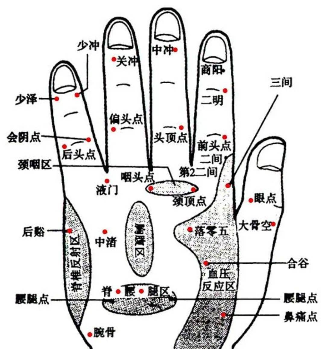 手部六条经络图图片