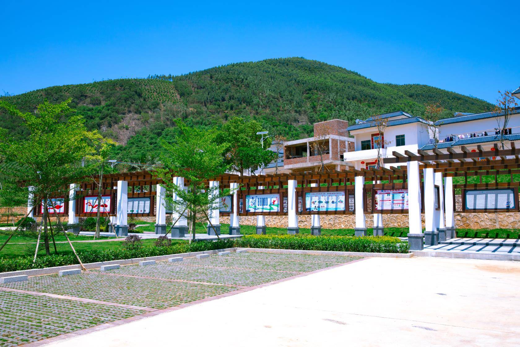 惠东平山这个村获评第六届全国文明村镇_手机搜狐网