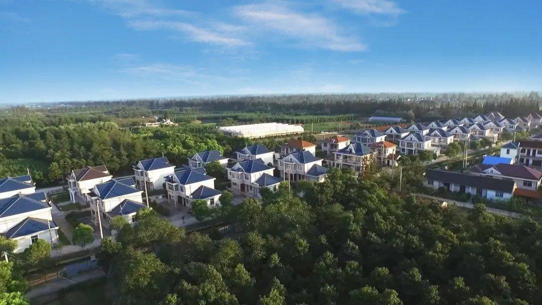 第六届全国文明村崇明区庙镇合中村做好新时代文明村庄大文章