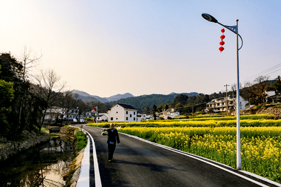 乡村规划乡村公路景观要如何设计