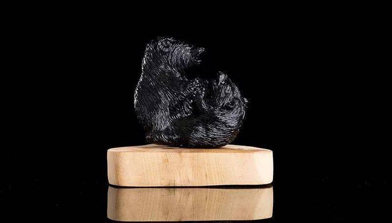 黑不溜秋的"煤球",竟卖出上万元,据说还能捡!_煤精