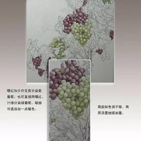 国画图文教程工笔画葡萄水珠染色步骤