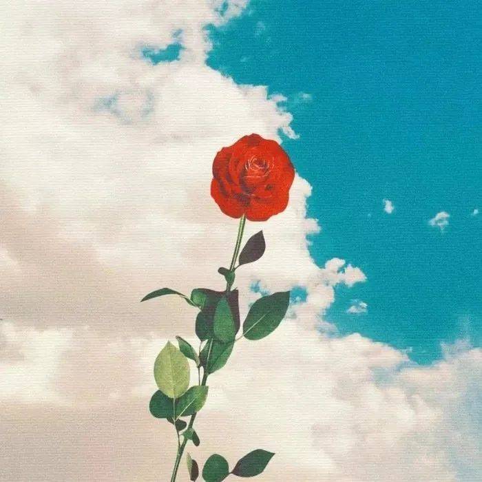 头像 | 前途无量,来日可期