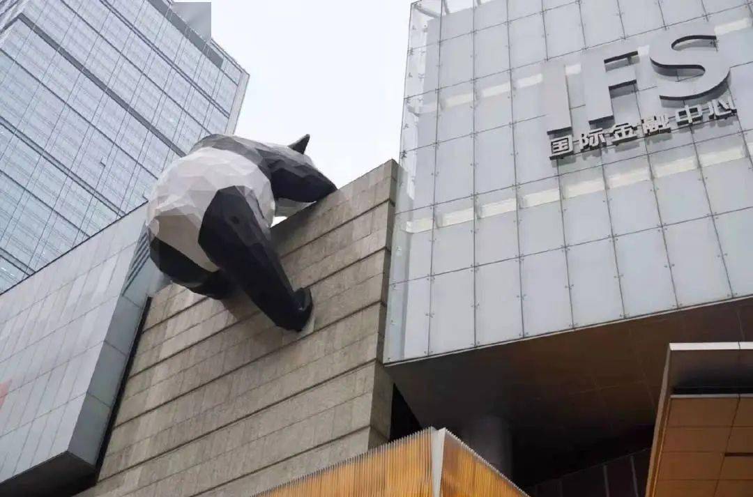 ifs熊猫爬楼panda每当天气凉爽的时候,也是近距离观赏熊猫的绝佳时机.