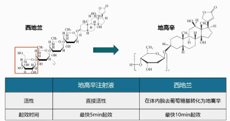 对于地高辛片剂使用可增加患者全因死亡风险的认识尚存在争议;并且dig