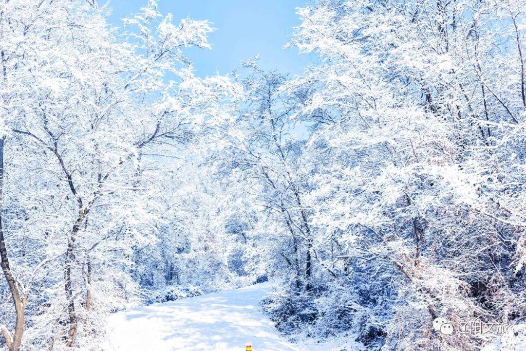 雪落古城萬眾矚目待大雪紛飛時共赴一場遼陽的冬季之約