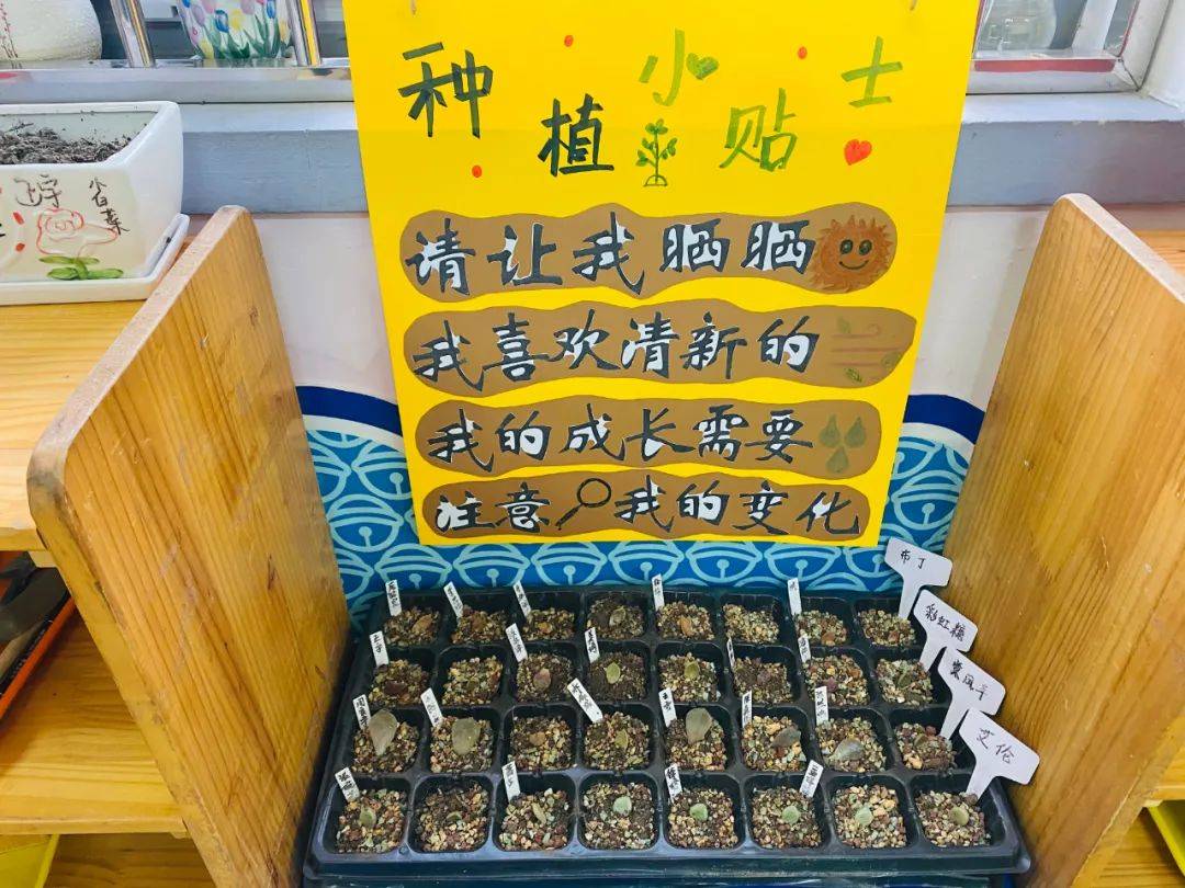 營口市育才幼兒園種植區建設掠影