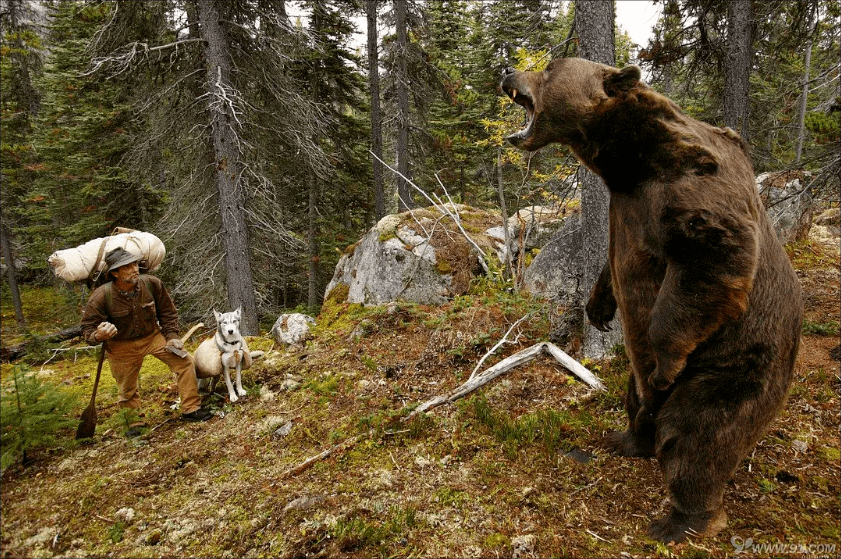 豆瓣8.9,最近看过最美的电影,看完整个人都舒服了