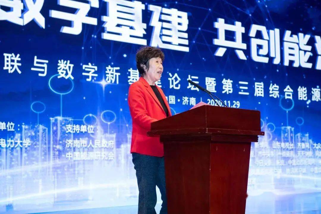 能源互联与数字新基建论坛暨第三届综合能源系统峰会在山东济南成功