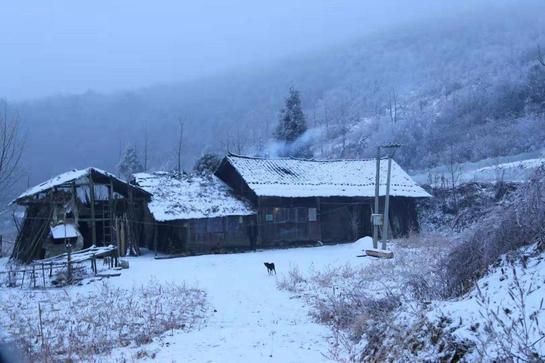 这样的场景,不觉想起刘长卿 《逢雪宿芙蓉山》:日暮苍山远,天寒白屋贫