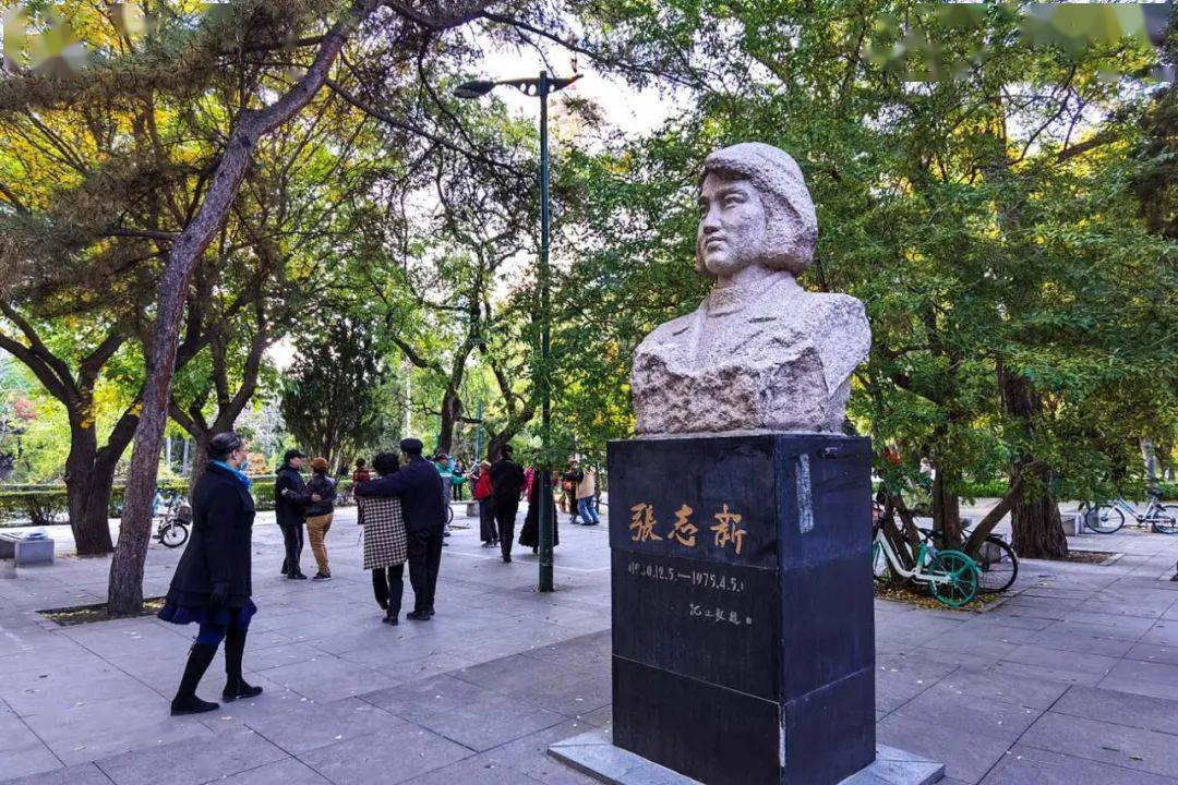【美拍欣赏】秋韵凝香沈阳城——沈阳2020年的秋天_公园