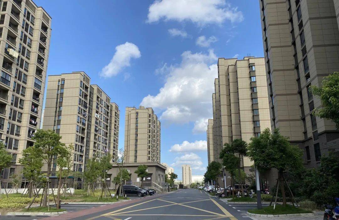 美丽平港共建共享