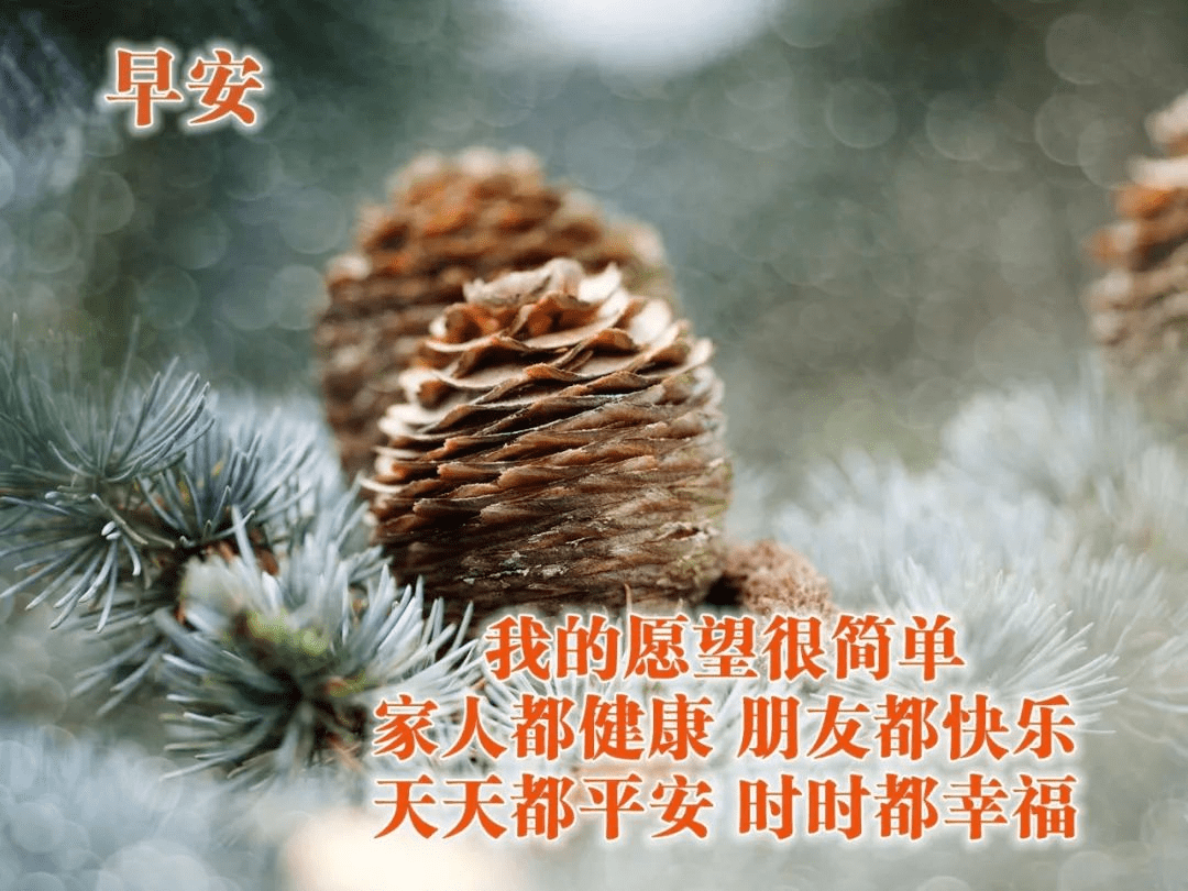 清晨保暖的早安問候美圖溫暖的早安祝福圖片