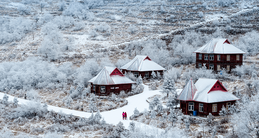 荟悦读大雪看万山积玉想与你白头