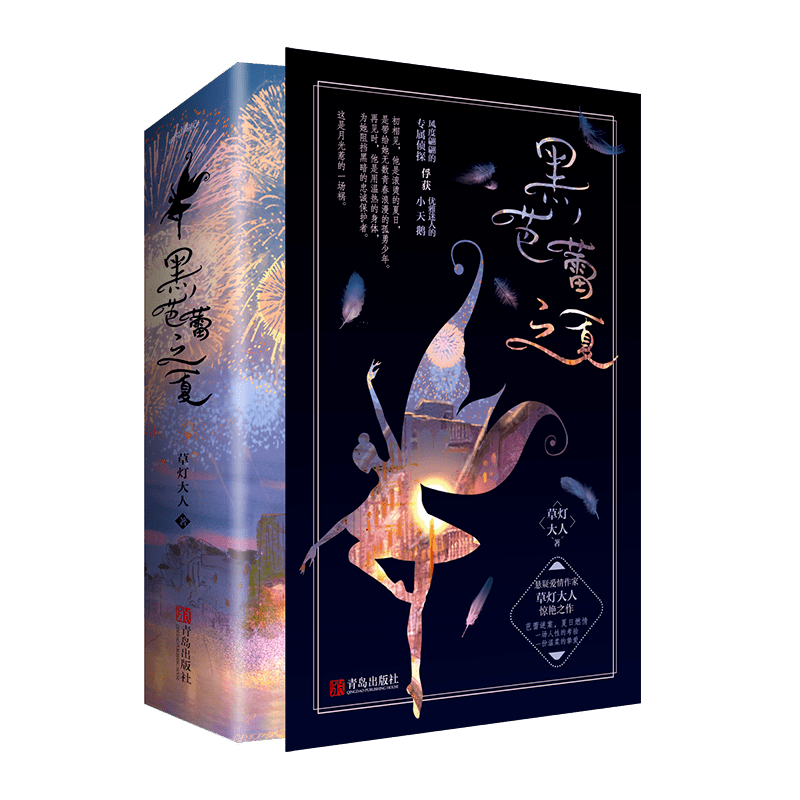 作者访谈草灯大人他是滚烫的夏日是带给她无数青春浪漫的孤勇少年