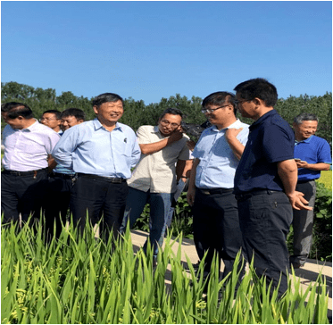 振奋人心农业农村部点名宿城