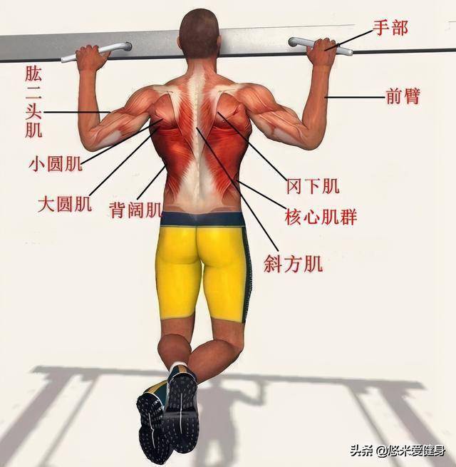 引体向上如何拉得更高用3天循环方法训练完成标准动作更轻松
