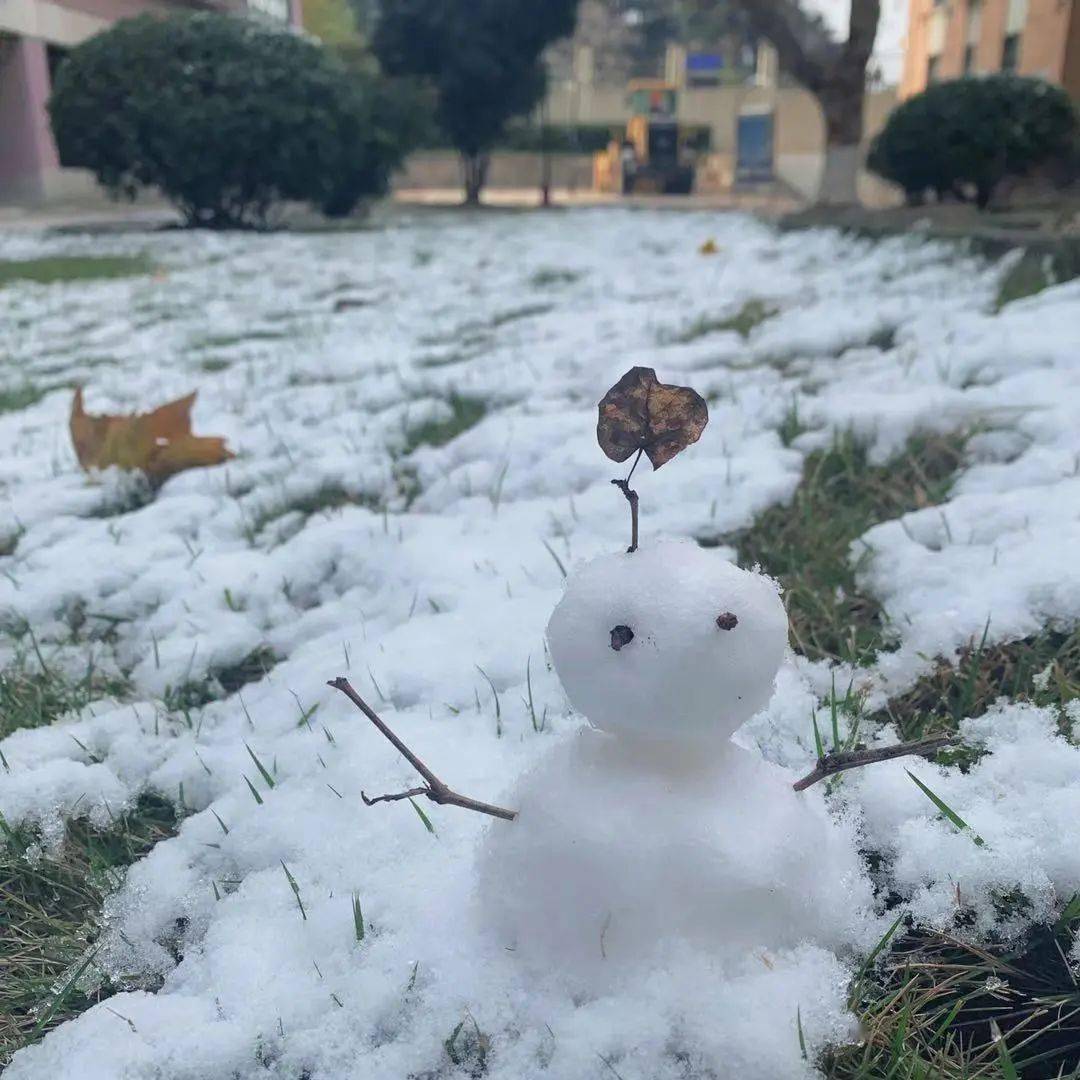 逸事可做冬月雪落古人也是爱下雪的图源 | 王科伟图源 | 顾欣怡图源