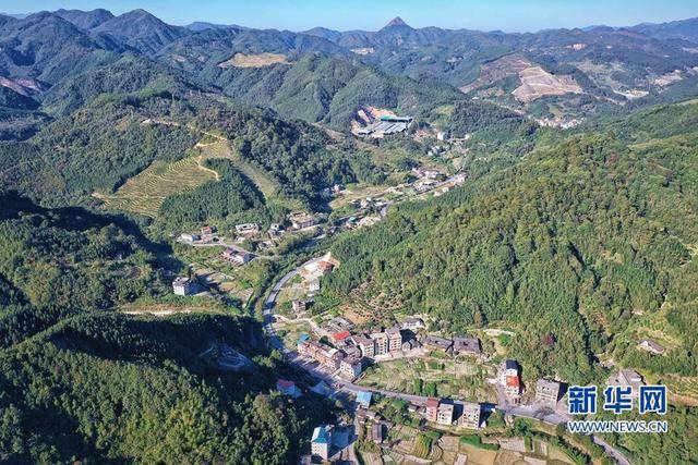 「第一书记战贫困」谢秋荣:"85后"驻村书记的产业扶贫路