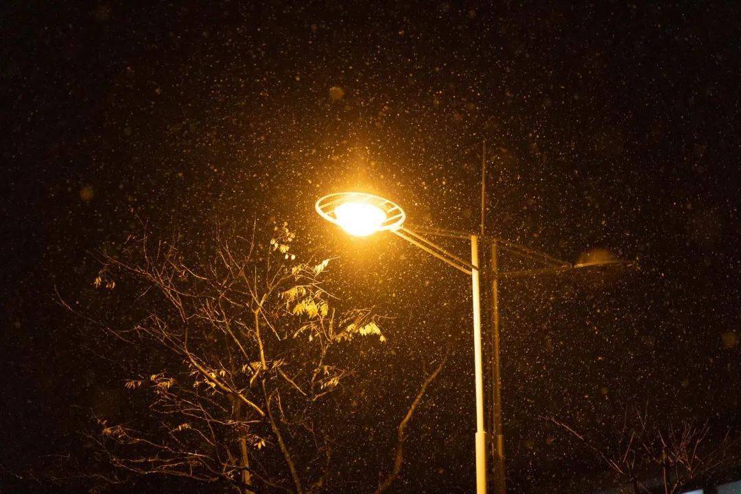 东大,下雪了!