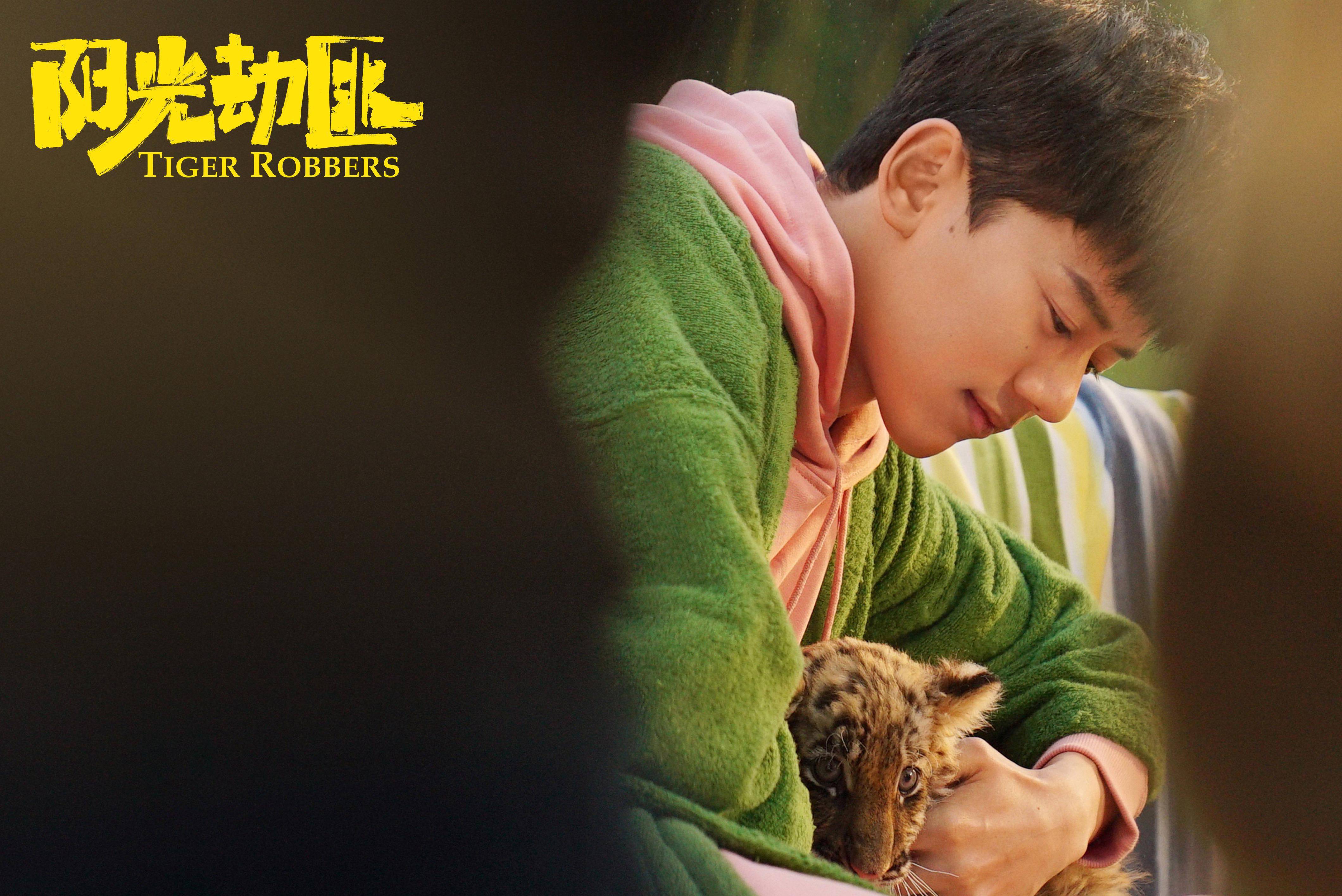 阳光劫匪曝光主题曲mv别把我丢了张杰温柔献唱爱的童话