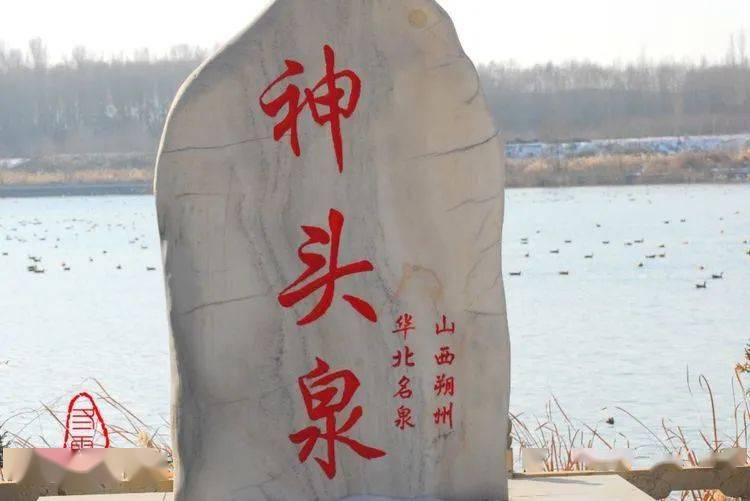 1度冬日请到神头泉畔看万鸟翱翔听泉水私语