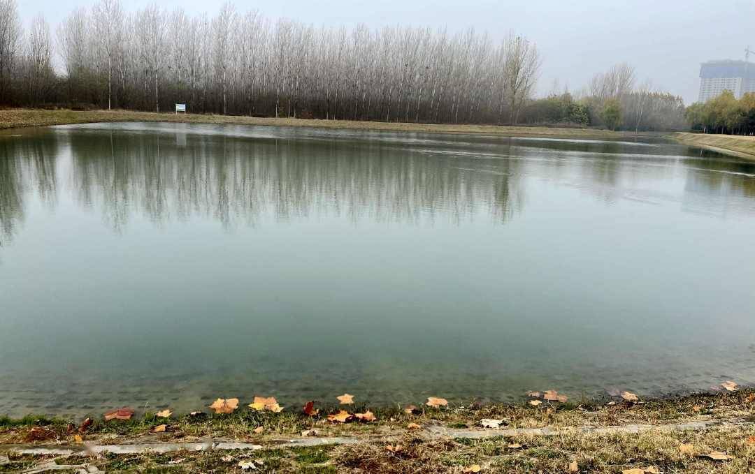 近年来,我市深入实施"绿满长葛,水润葛邑"行动计划,着力打造"花园"