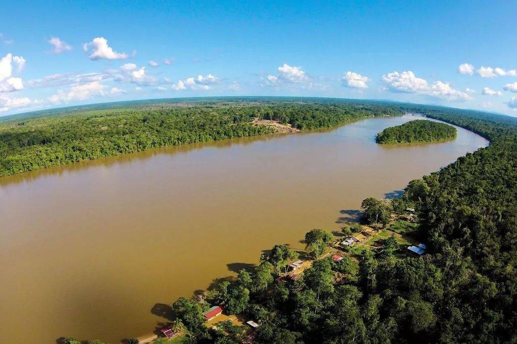 南美鼠鱼典型栖息地环境及造景分享_法属圭亚那