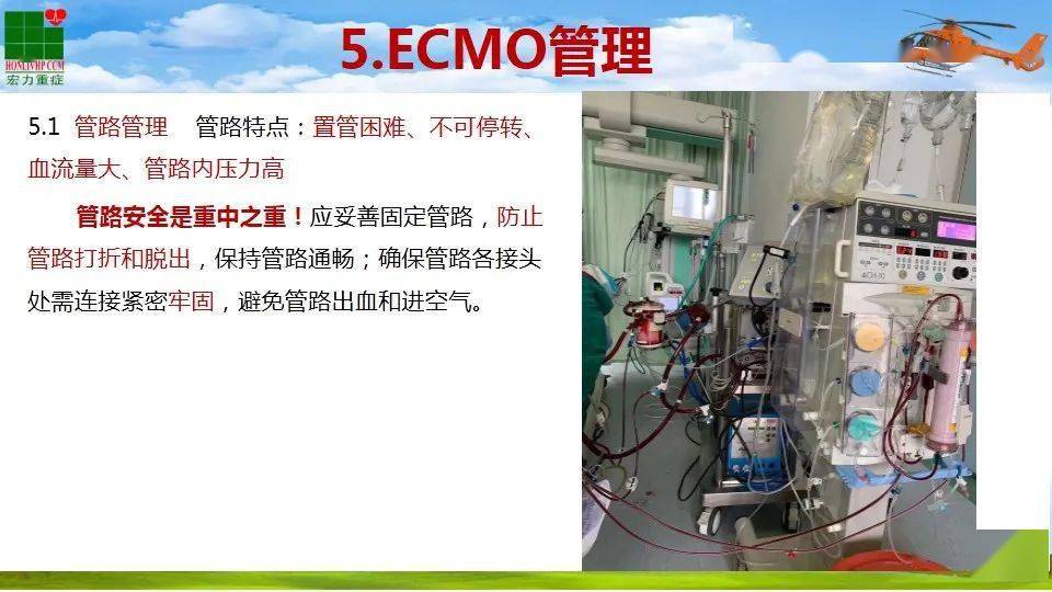 【ppt】第一例应用ecmo患者护理查房