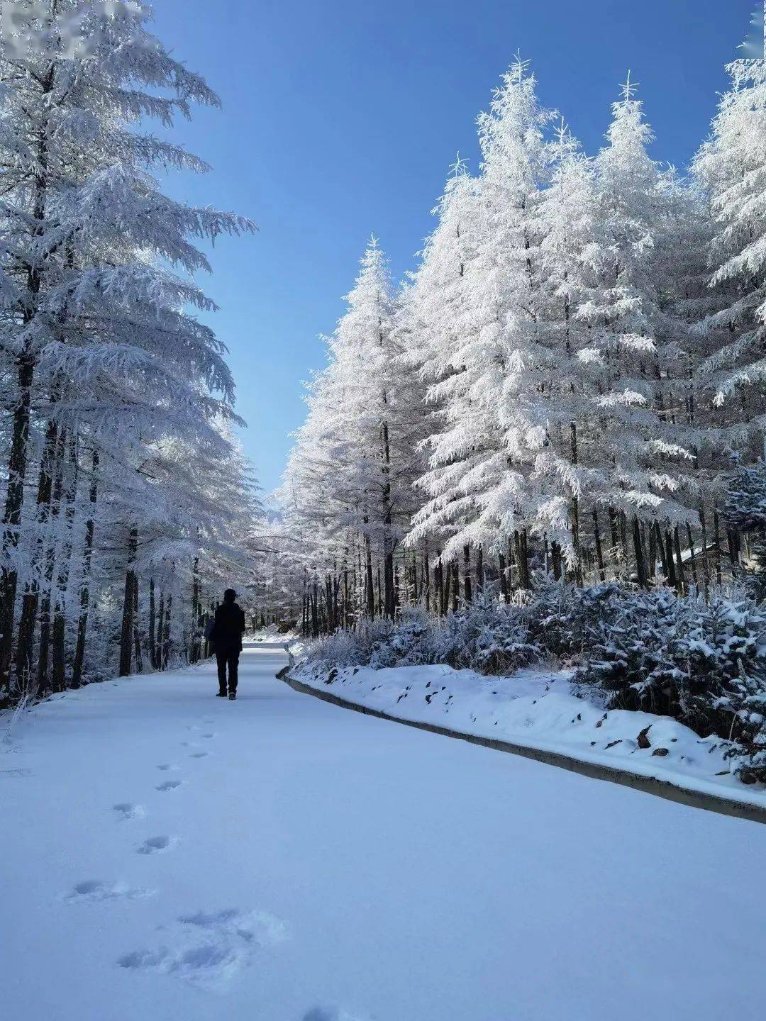 冬季到渭源除了赏雪滑雪还有许多让你心动的理由