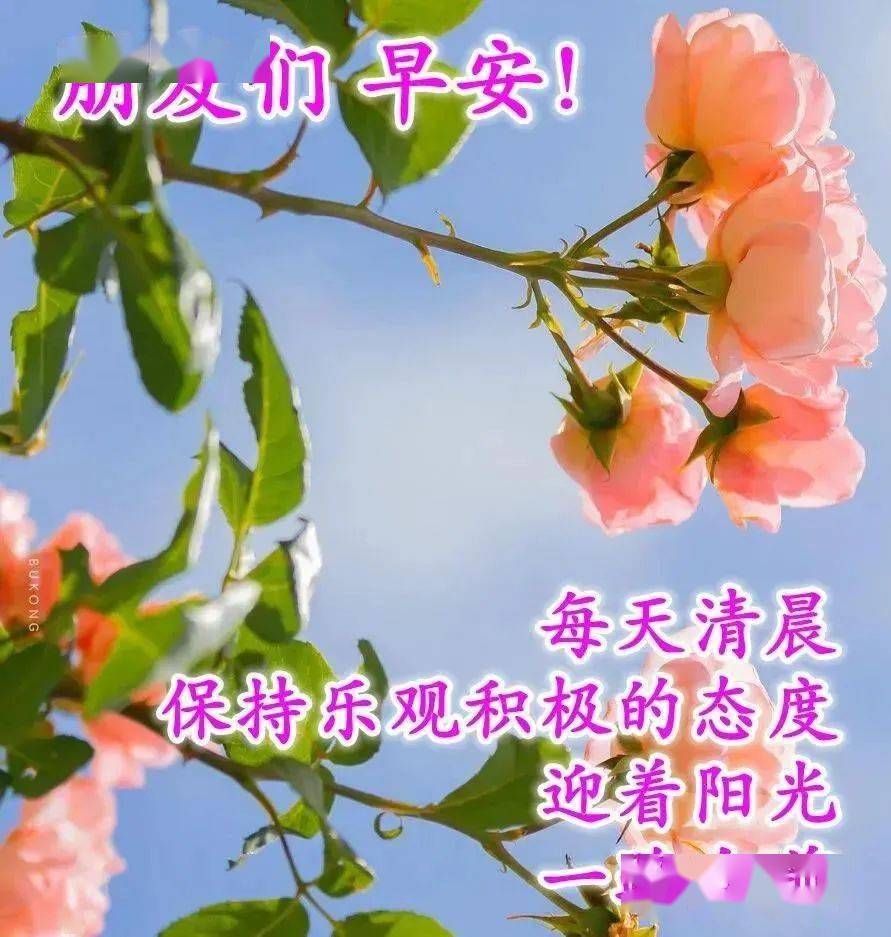 幸福美好的早安問候圖片 陽光的清晨祝福圖片