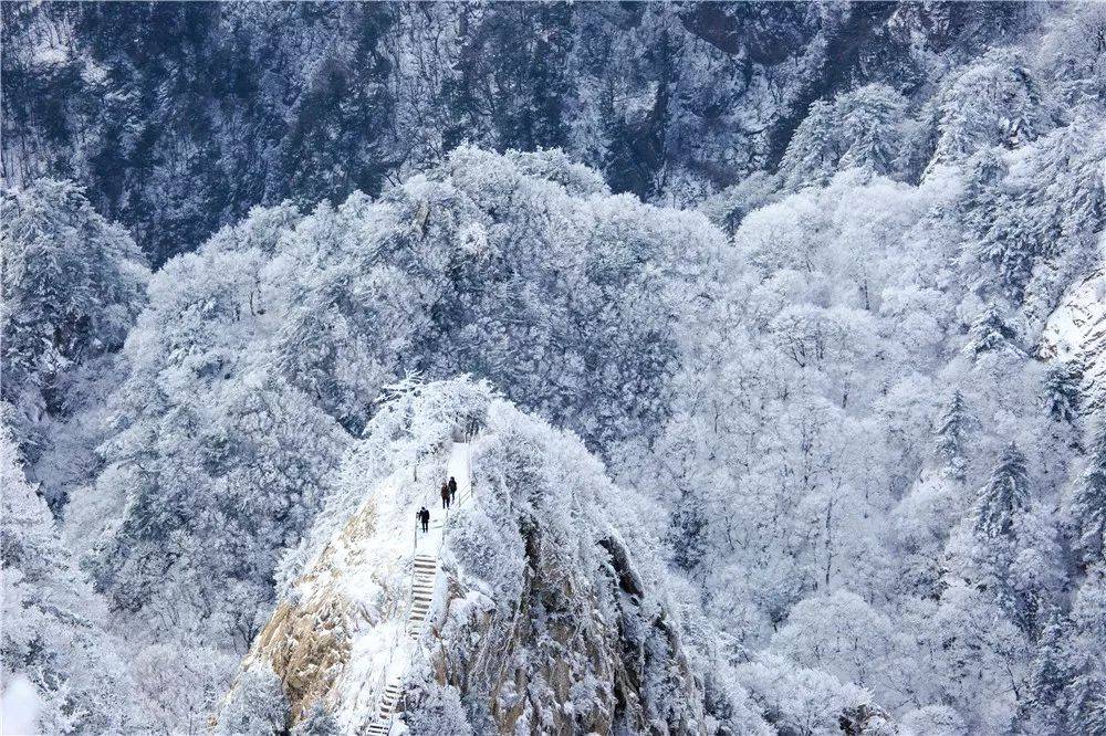 每一場雪景都是冬天對我們的回贈遇到老君山美麗雪景,拍幾張照片分享