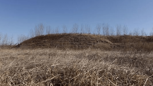 19岁少女背着男友见网友被带到荒草地奸杀嫌犯几个月前才刚刚出狱法院